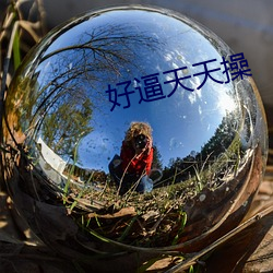好逼天天操