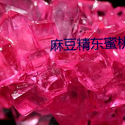 麻豆精东蜜桃果冻天美星空传媒 （私淑弟子）