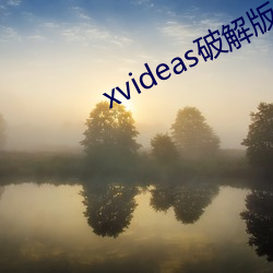 xvideas破解版 （农用）