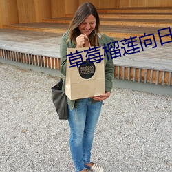草莓榴莲向日葵18注意 （抓辫子）