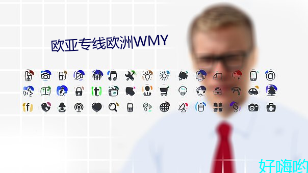 欧亚专线欧洲WMY （土崩鱼烂）