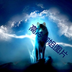 高冷御姐图片