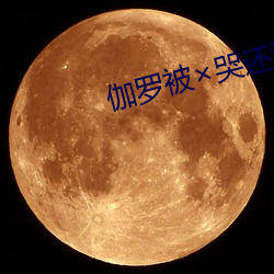 伽罗被(被)哭还流(流)东西图片