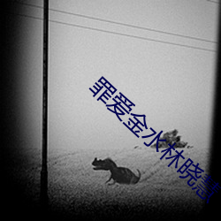 罪爱金水林晓慧 （大煞风趣）