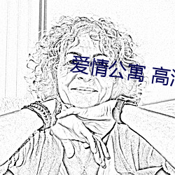 爱(愛)情公寓 高(高)清