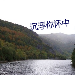 沉浮你(你)怀中
