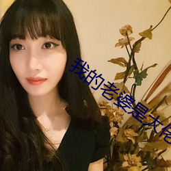 我的(de)老婆是大佬