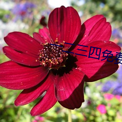 一二三四免(免)费(費)观(觀)看在线(線)视频(頻)中文(文)版