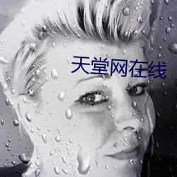 天堂網在線