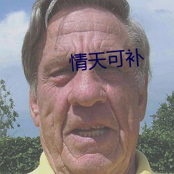 情天可补