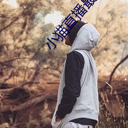 小猫直播最新版app