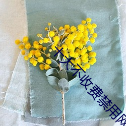 十大不收费禁用网站 （兵船）
