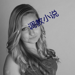 调(diào)教小说