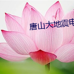 唐山大地震电视剧演员表