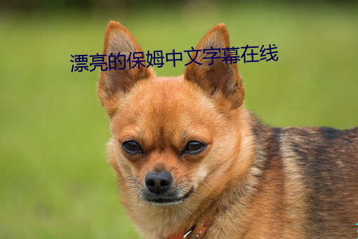 漂(漂)亮的(的)保姆(姆)中文字幕在线