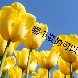 金年会 | 诚信至上金字招牌