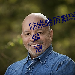 陸晚晚厲景琛小說全文免費閱讀無彈窗