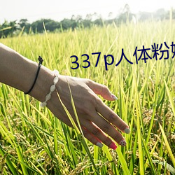 337p人体粉嫩胞高清大图