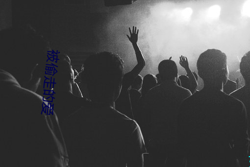被偷走的(的)爱