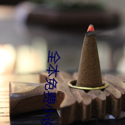 全本免费小说