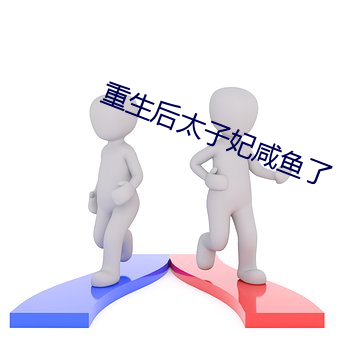 2024新澳门原料免费资料大全