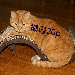 操逼20p