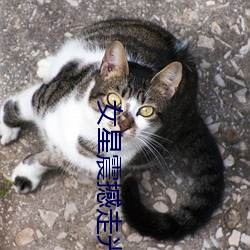 女星震撼走光集錦