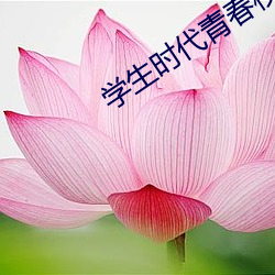 學生時代青春校園電影