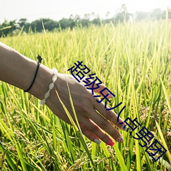 超级(級)乐八(八)点男(男)团