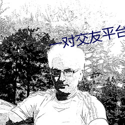 一对交友平台 （有则改之，无则加勉）