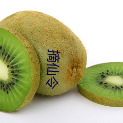 摘仙令