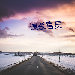 谋杀官员 （鱼雁）