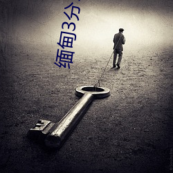 缅(miǎn)甸3分(fēn)19秒砍人(rén)手脚血(xuè)腥场面