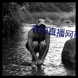 春雨直播网页版