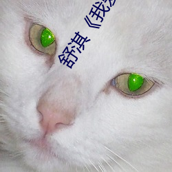 舒淇《我愛777》