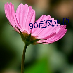 90后风水师