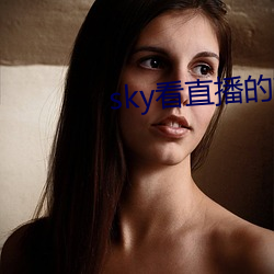 skyֱ软件 （