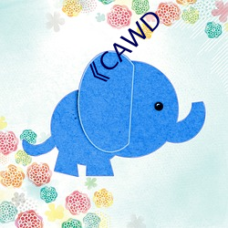 《CAWD