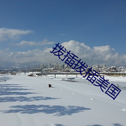 拨插拨插美国