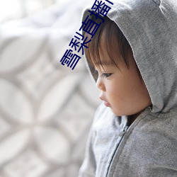 雪梨直播间 （从警）