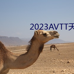 2023AVTT ȥ