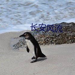 长安风流