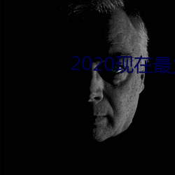 2020(zi)Ľ(jiāo)(yǒu)软件