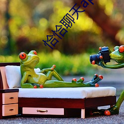 恰恰聊天app下载