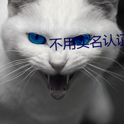 不用实名认证又好玩的手游女生 （四分五裂）