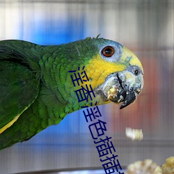淫香淫(淫)色(色)插(插)插(插)插(插)