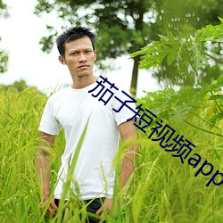 茄子短视(視)频app官(官)方(方)下载