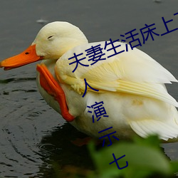 夫妻生活床上72式演示图解:堪比真人演示七十二式