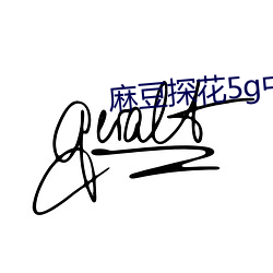 麻豆探花5g中文(wén)