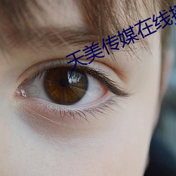 天美传媒在线播放